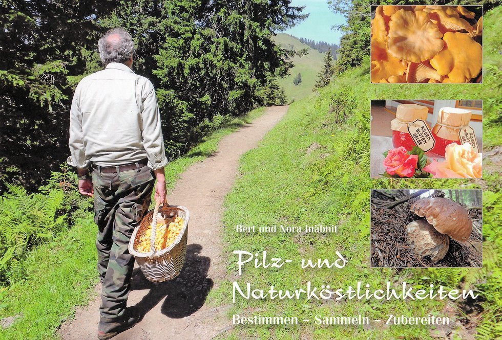 Pilz- und Naturköstlichkeiten - das Pilze sammeln und zubereiten Buch von Bert und Nora Inäbnit
