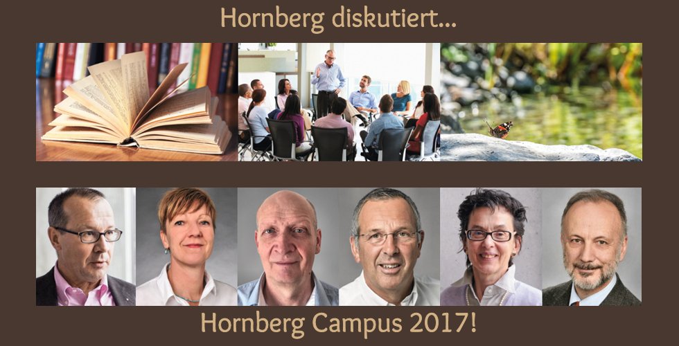 Hornberg Campus - jetzt sogar mit 6 Experten diskutieren