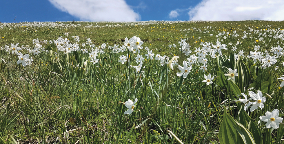 leichte Wanderungen