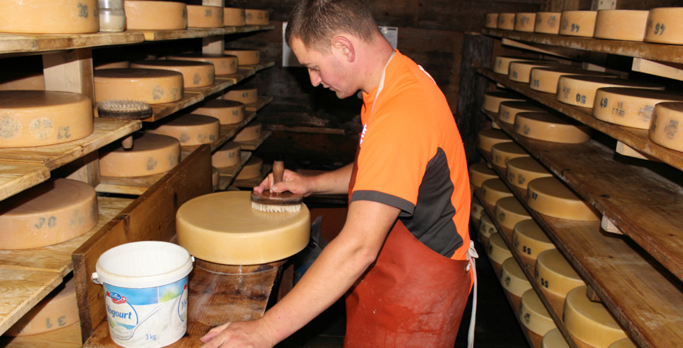 Käsen echt und authentisch - die traditionelle Käseherstellung auf der Alp erleben!