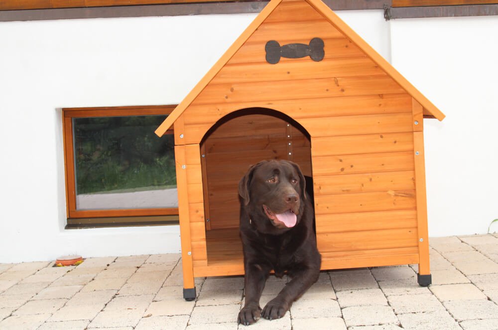 Schlüsselkarten à la Hornberg, Umbau und der neue Hunde-Service