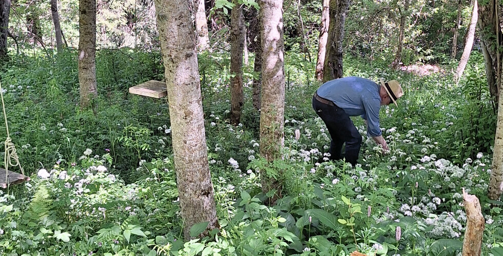 Noch mehr Natur in unserer Küche, dank Sous-Chef Martin Posch und Bert Inäbnit