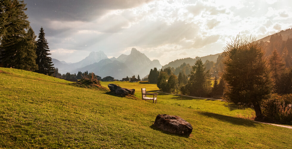 Für kurze Zeit: Märchenhaftes «Laubbett» in eigenem Natur-Hüttli für schönste Nächte